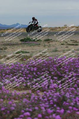 media/Jan-14-2023-SoCal Trackdays (Sat) [[497694156f]]/Turn 14 Exit Bloomig (145pm)/